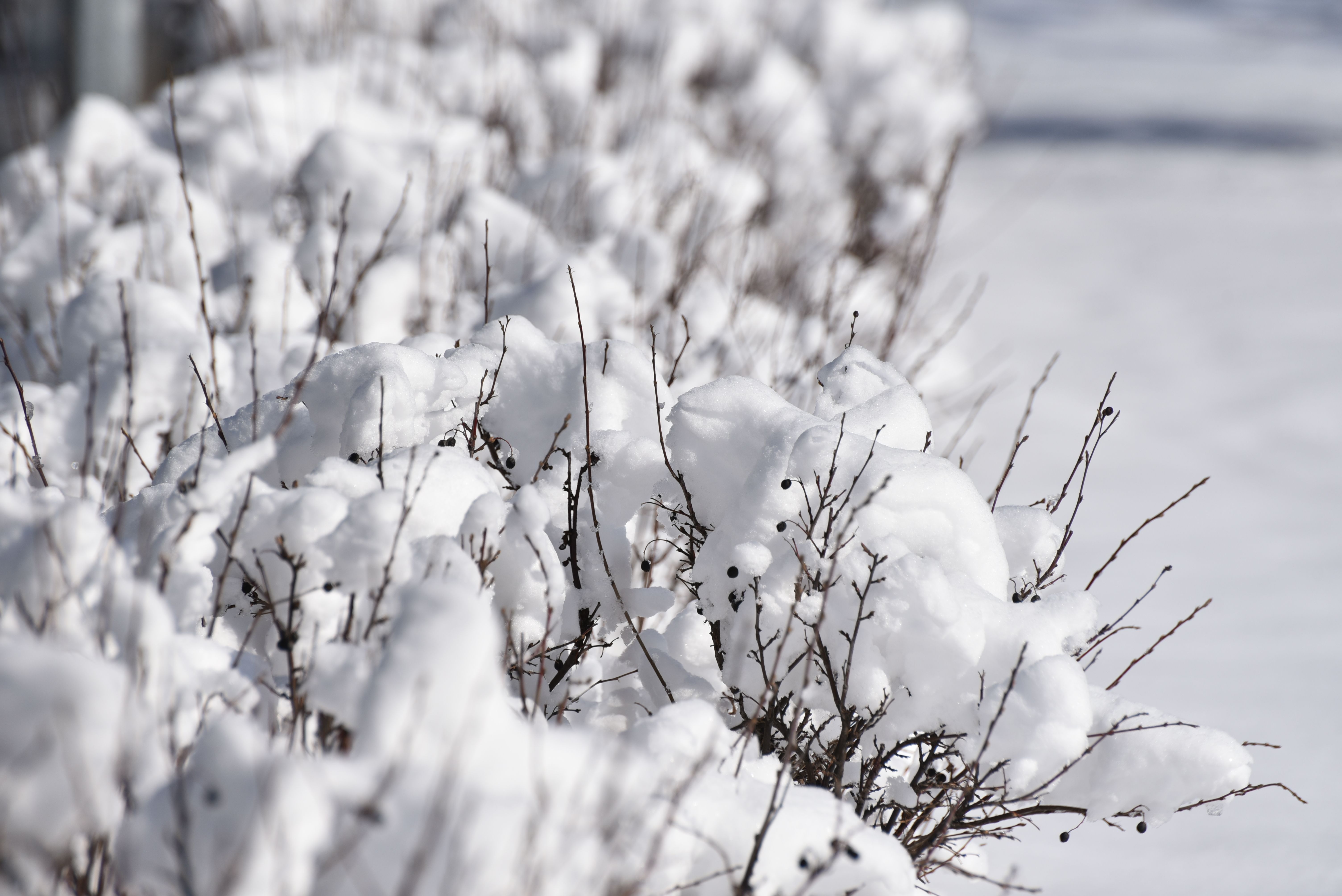 Prepping a Boat Engine for Winter: The Steps That Actually Prevent Damage