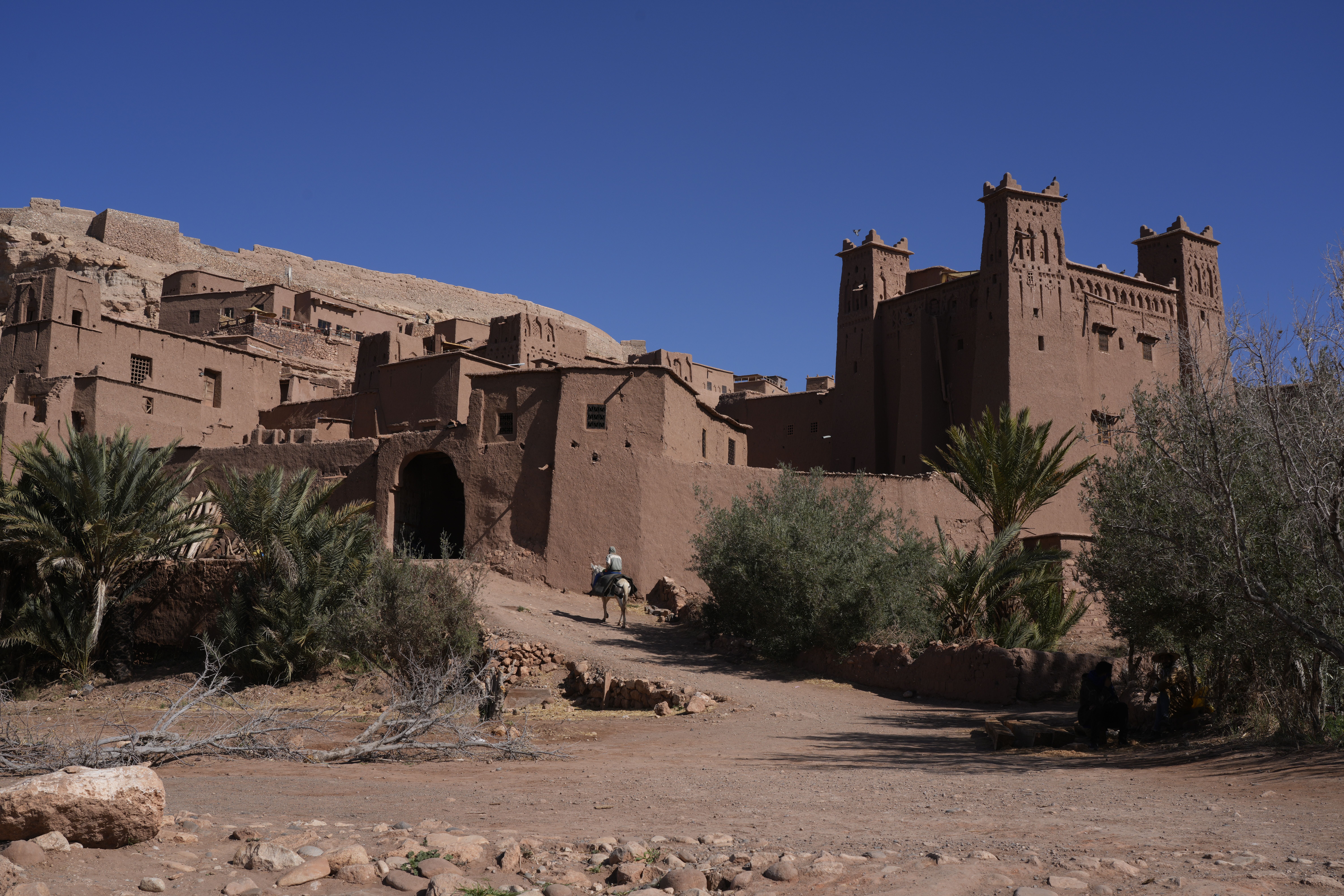 The 8 Best Day Trips From Marrakech, From the Atlas Mountains to the Atlantic