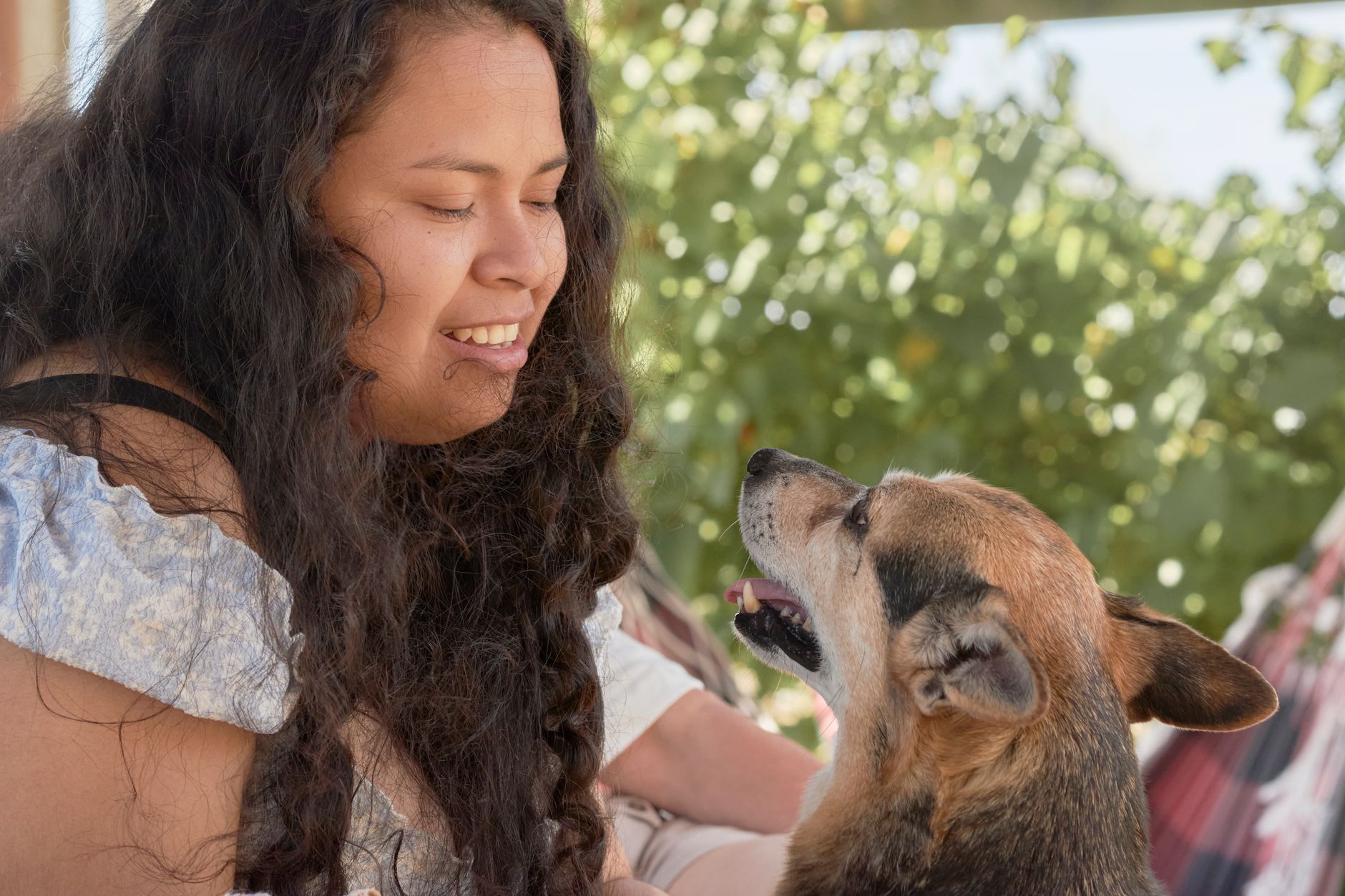 Shelter Dog Reunion: How a Real Name Brought Kano Home