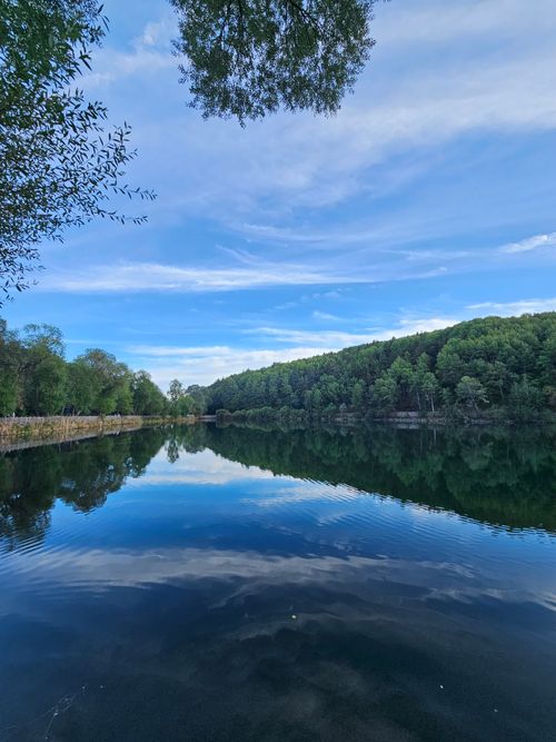 Free Calm lake reflecting lush forest under a clear blue sky, perfect for nature lovers. Stock Photo