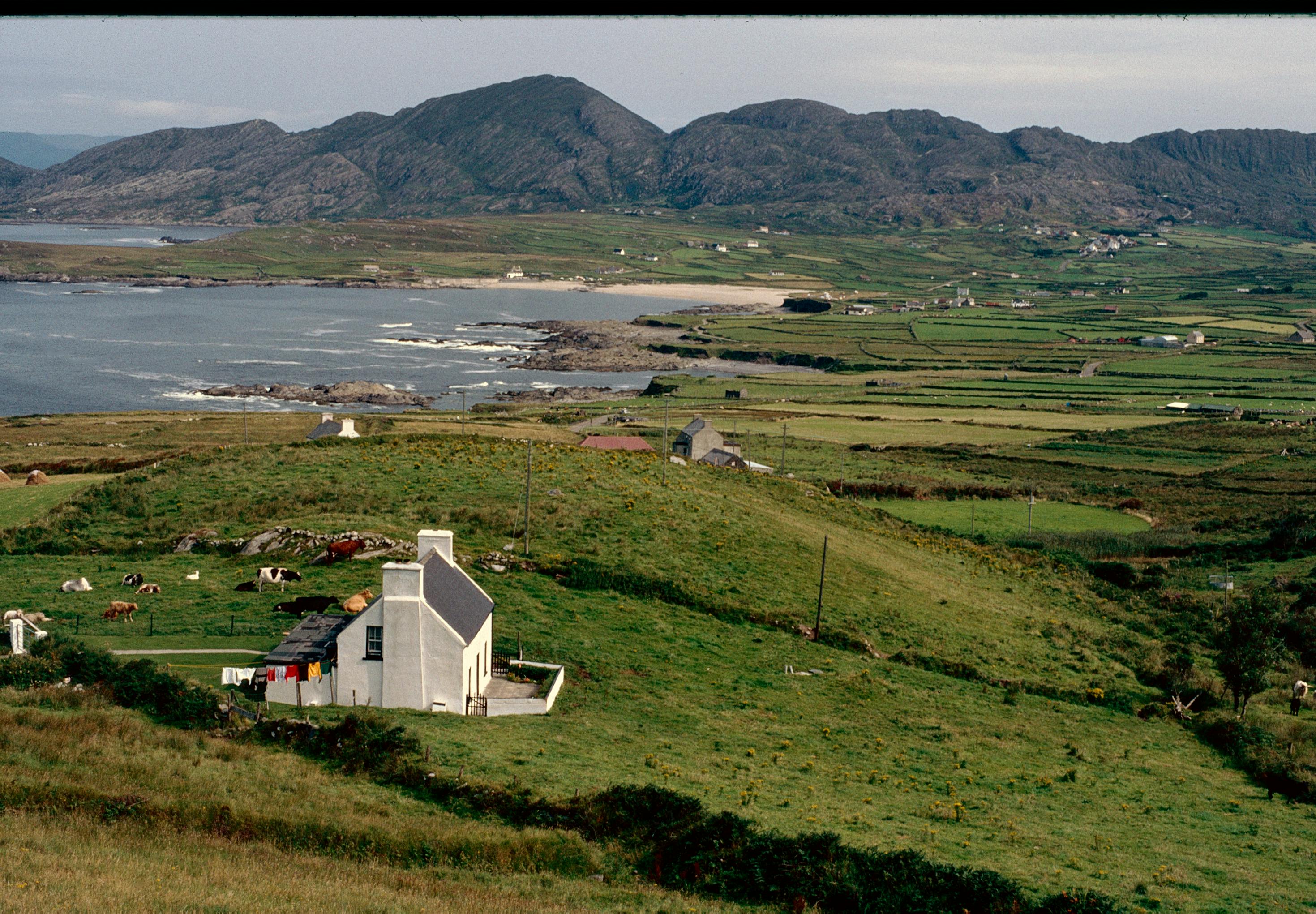 A scenic view of a countryside home near the Irish coast, surrounded by lush green fields.