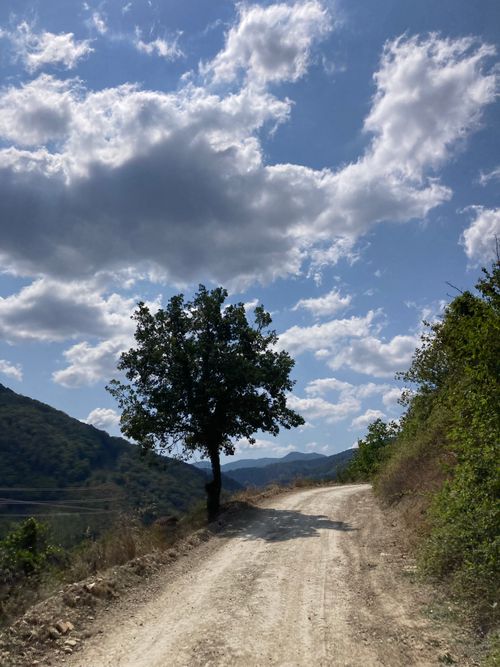 Free A solitary tree stands beside a winding mountain path under a vibrant blue sky. Stock Photo