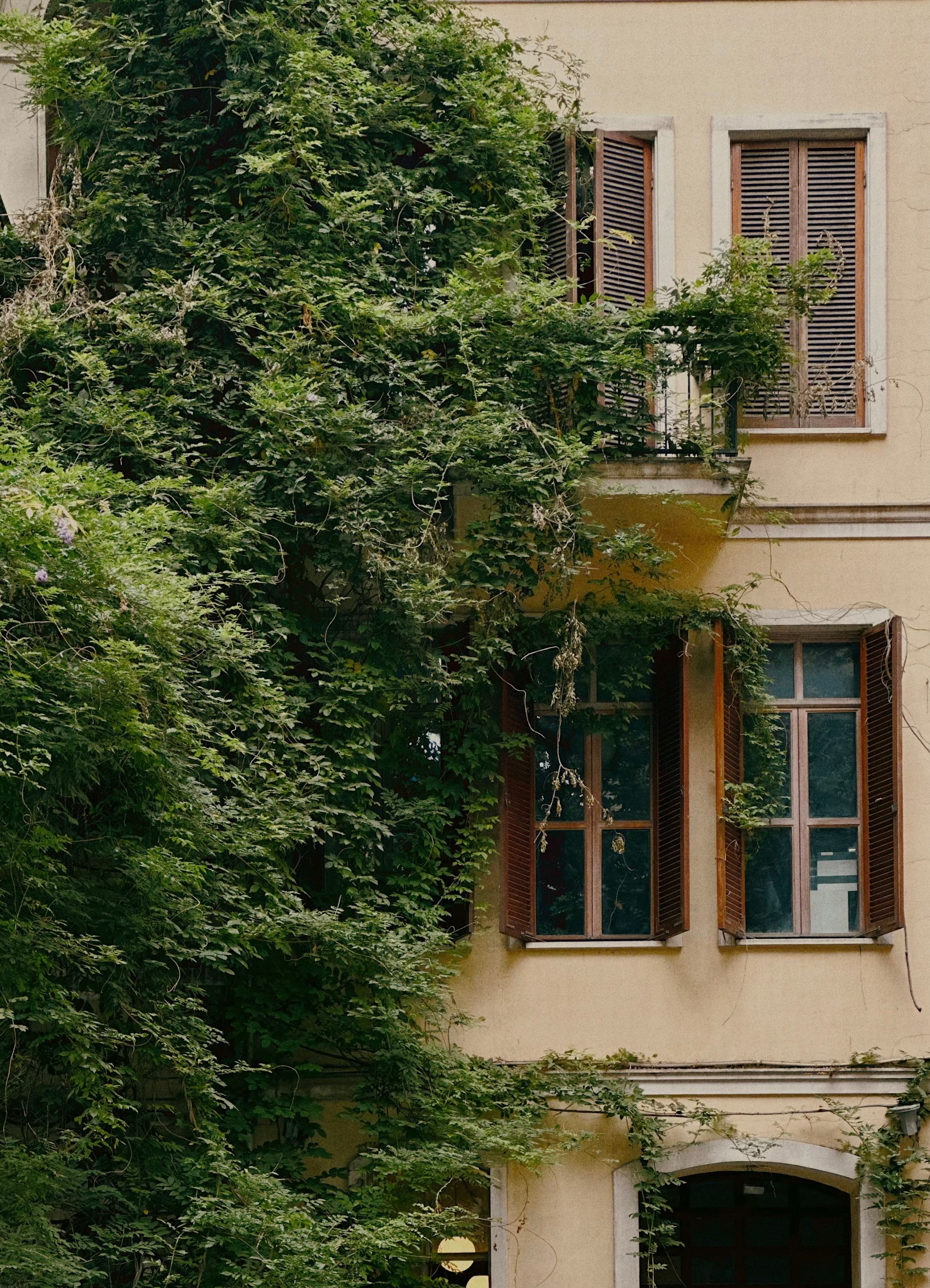 Charming Istanbul facade covered in vibrant ivy, showcasing classic architectural details.