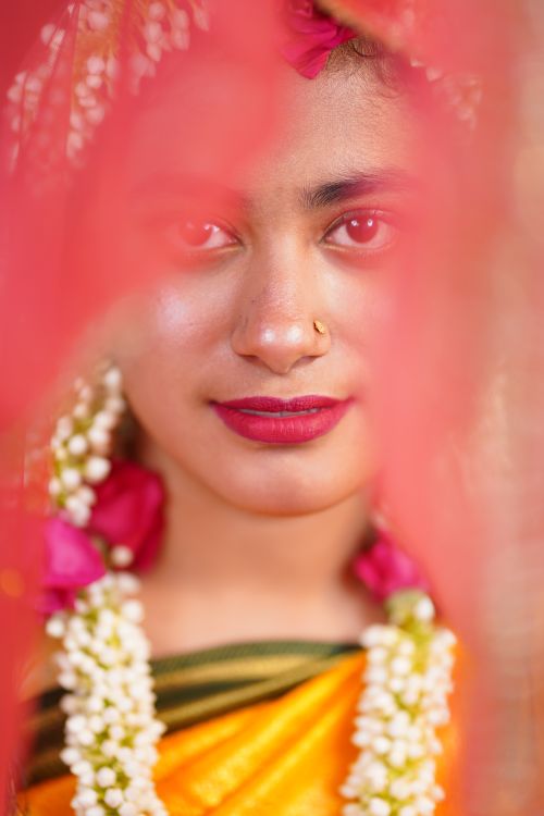 Portrait of Woman in Traditional Indian Attire · Free Stock Photo