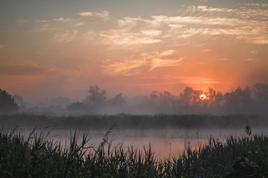 A tranquil sunrise scene over a mist-covered marsh with vibrant colors and lush vegetation.