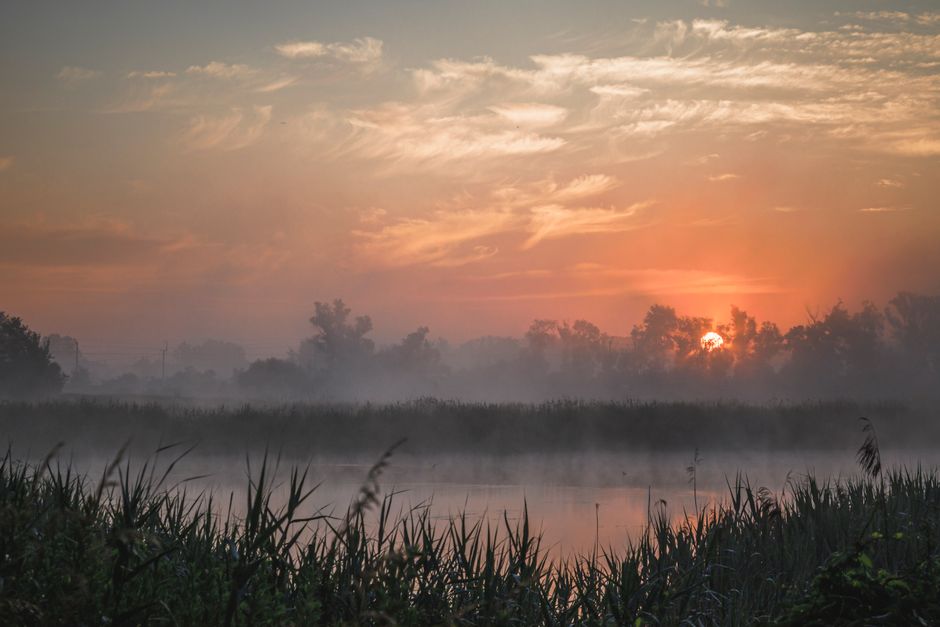 A tranquil sunrise scene over a mist-covered marsh with vibrant colors and lush vegetation.