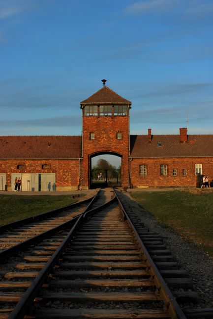 The Tattooist of Auschwitz
