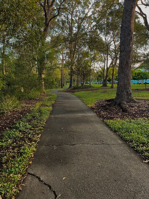 Free Serene park path surrounded by lush greenery and tall trees under a clear sky. Stock Photo
