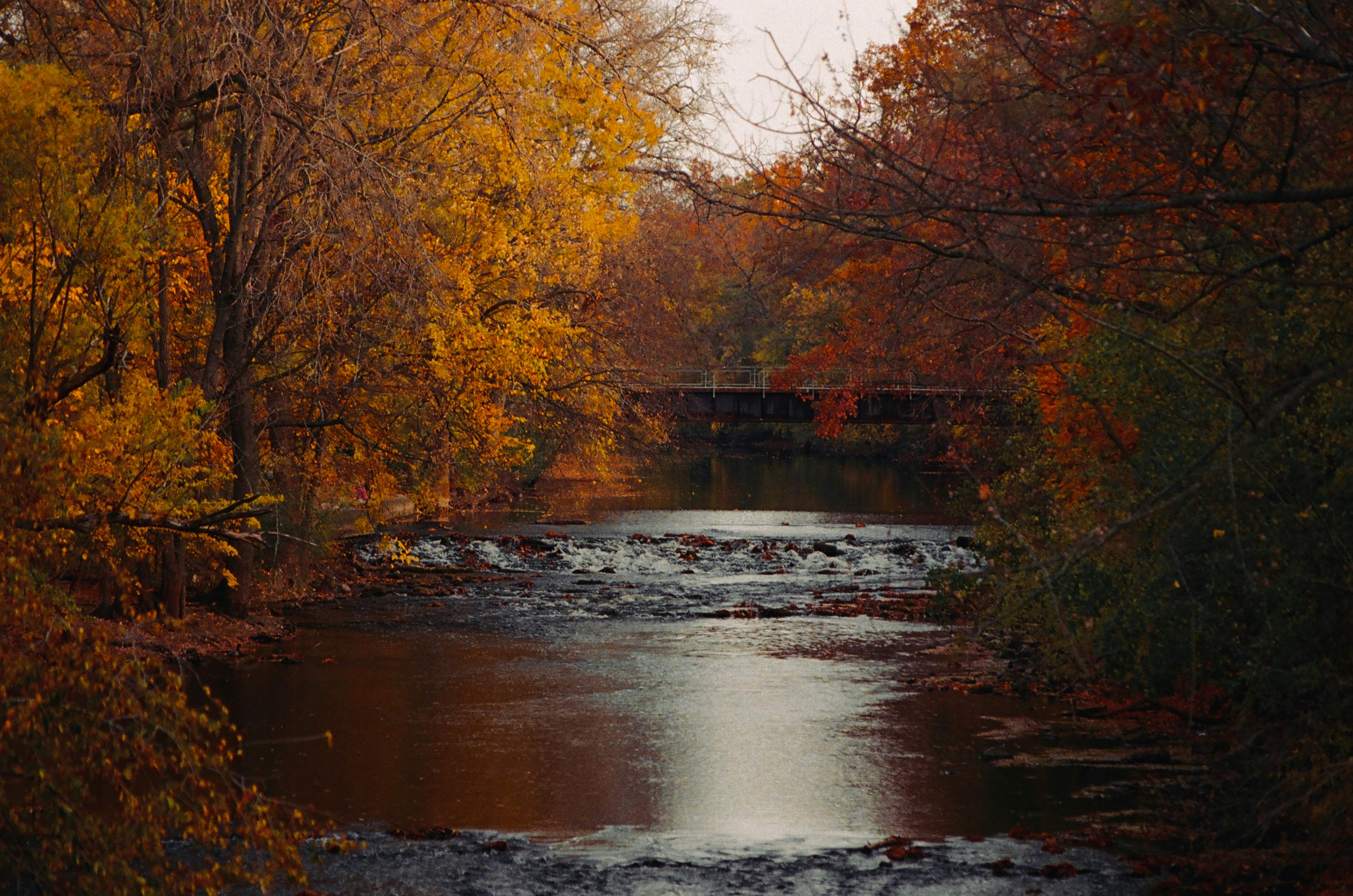 Michigan Auto Insurance Change: Why Personal Injury Coverage Adjustments Are Raising Premiums This Month — Photo by Adrinil D