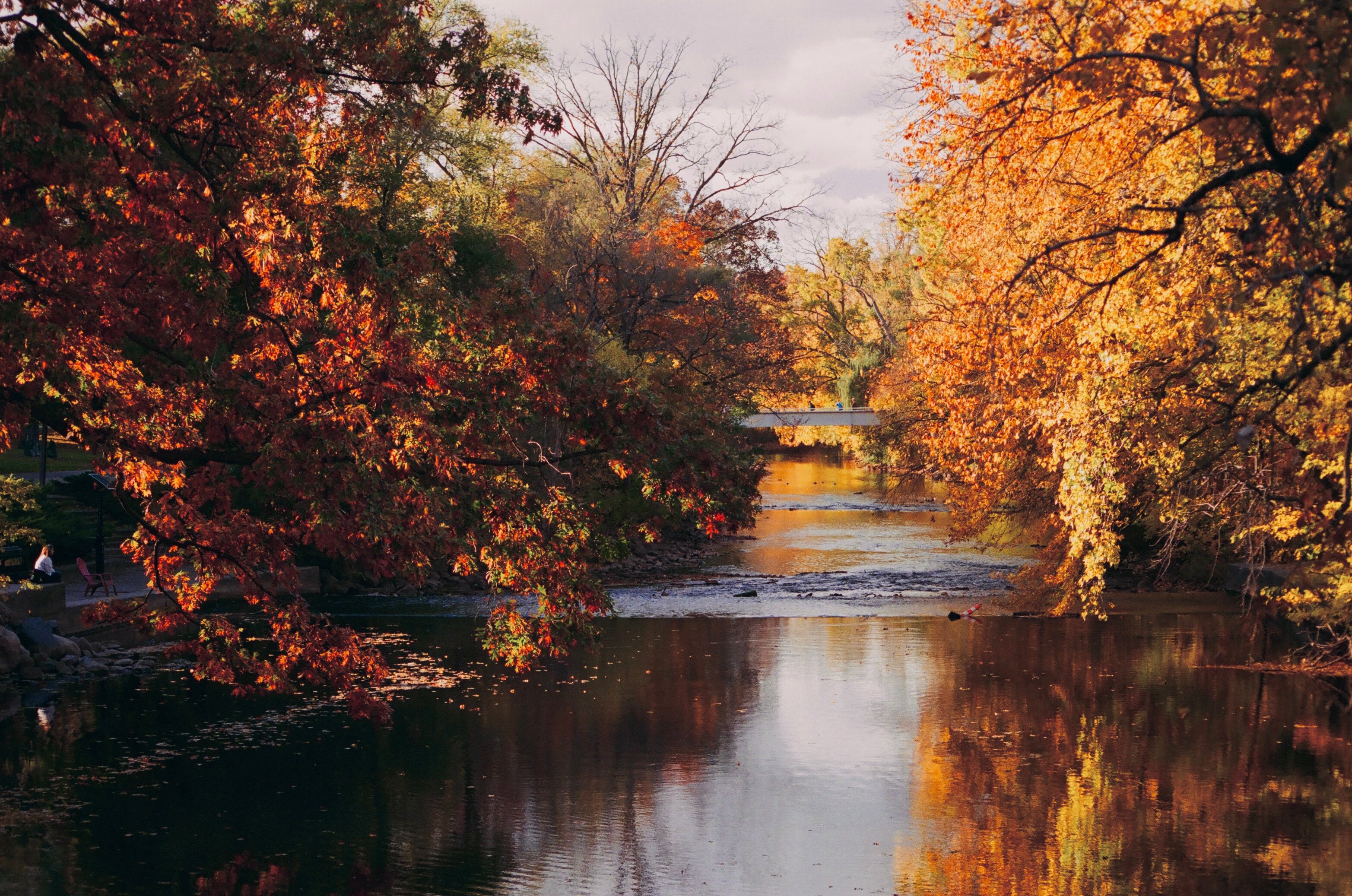 Michigan Auto Insurance Change: Why Personal Injury Coverage Adjustments Are Raising Premiums This Month — Photo by Adrinil D
