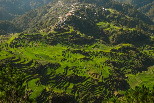Free A breathtaking aerial view of lush green rice terraces in a mountainous region, showcasing intricate patterns. Stock Photo
