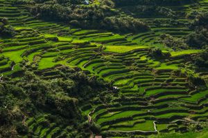 Scenic Photo Of Rice Terraces During Daytime · Free Stock Photo