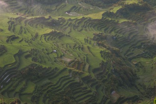 Free Stunning aerial landscape of lush green rice terraces under morning light. Stock Photo