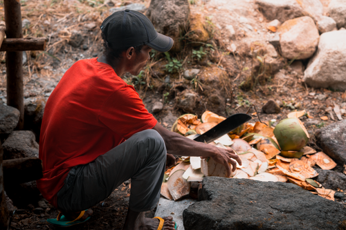 Free A man skillfully cuts coconuts with a machete in Botolan, Philippines. Stock Photo