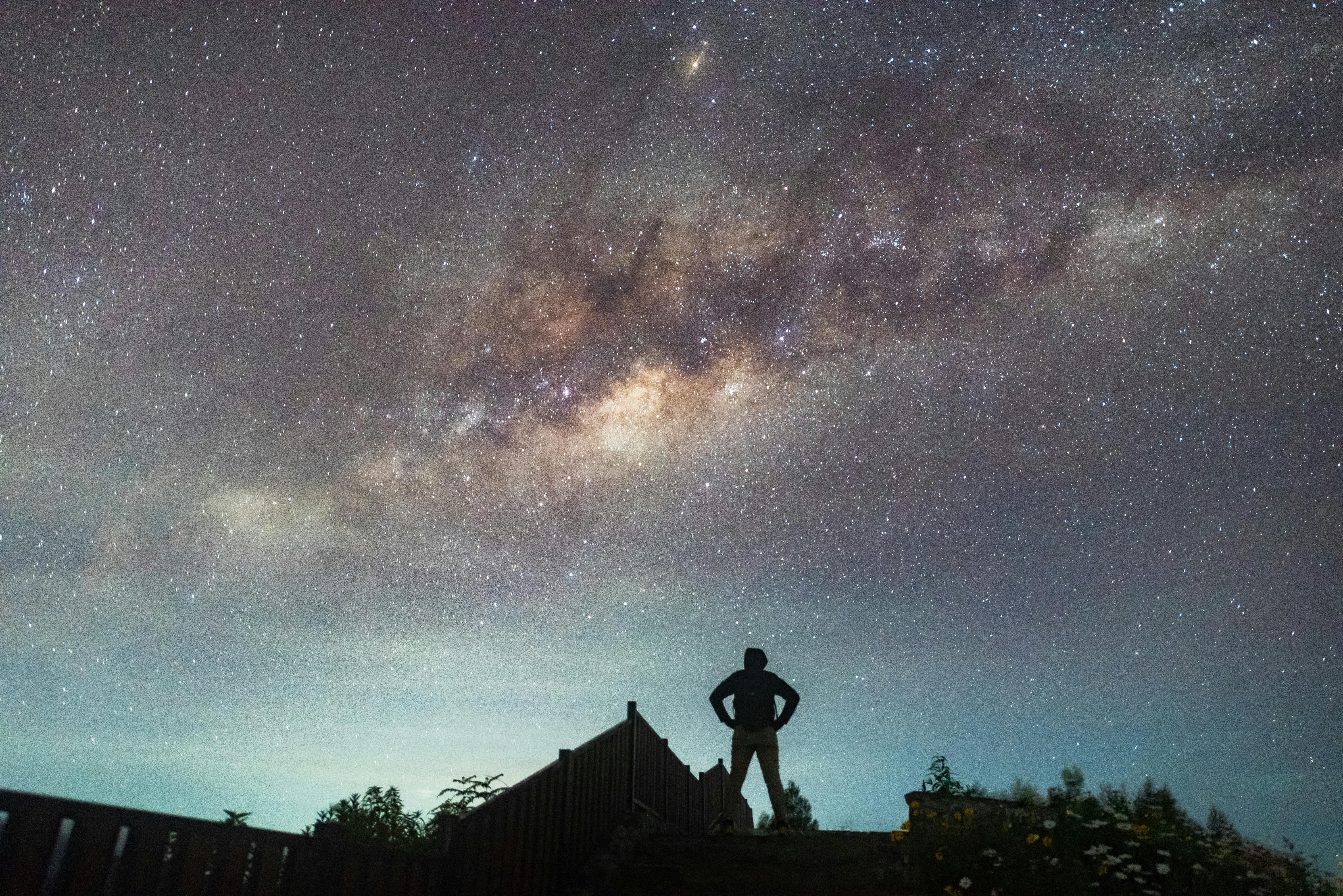 Core Web Vitals: WordPress And Astro Ver