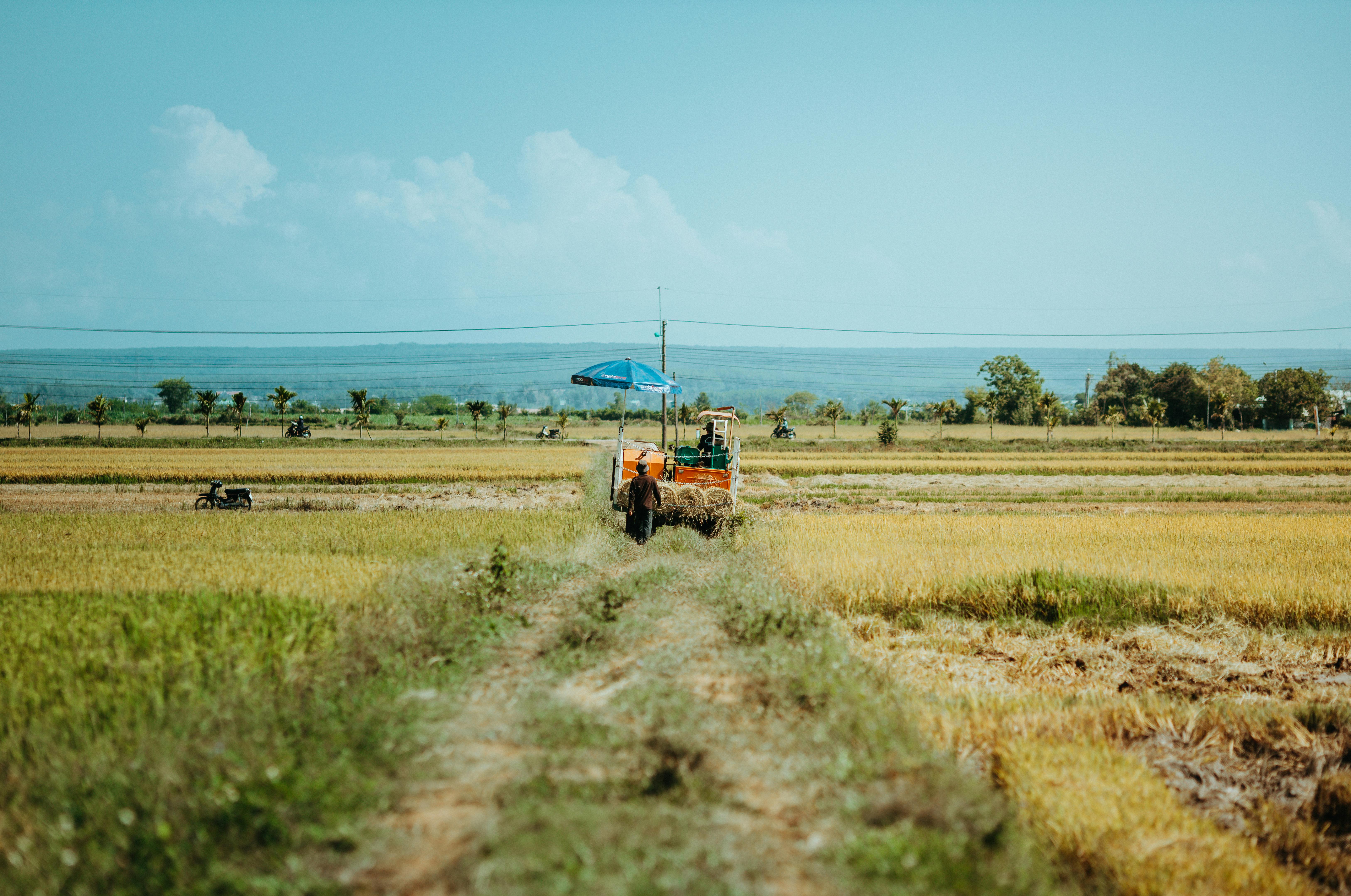 A farmer operates a tractor in rice fields under a blue sky in Vietnam.