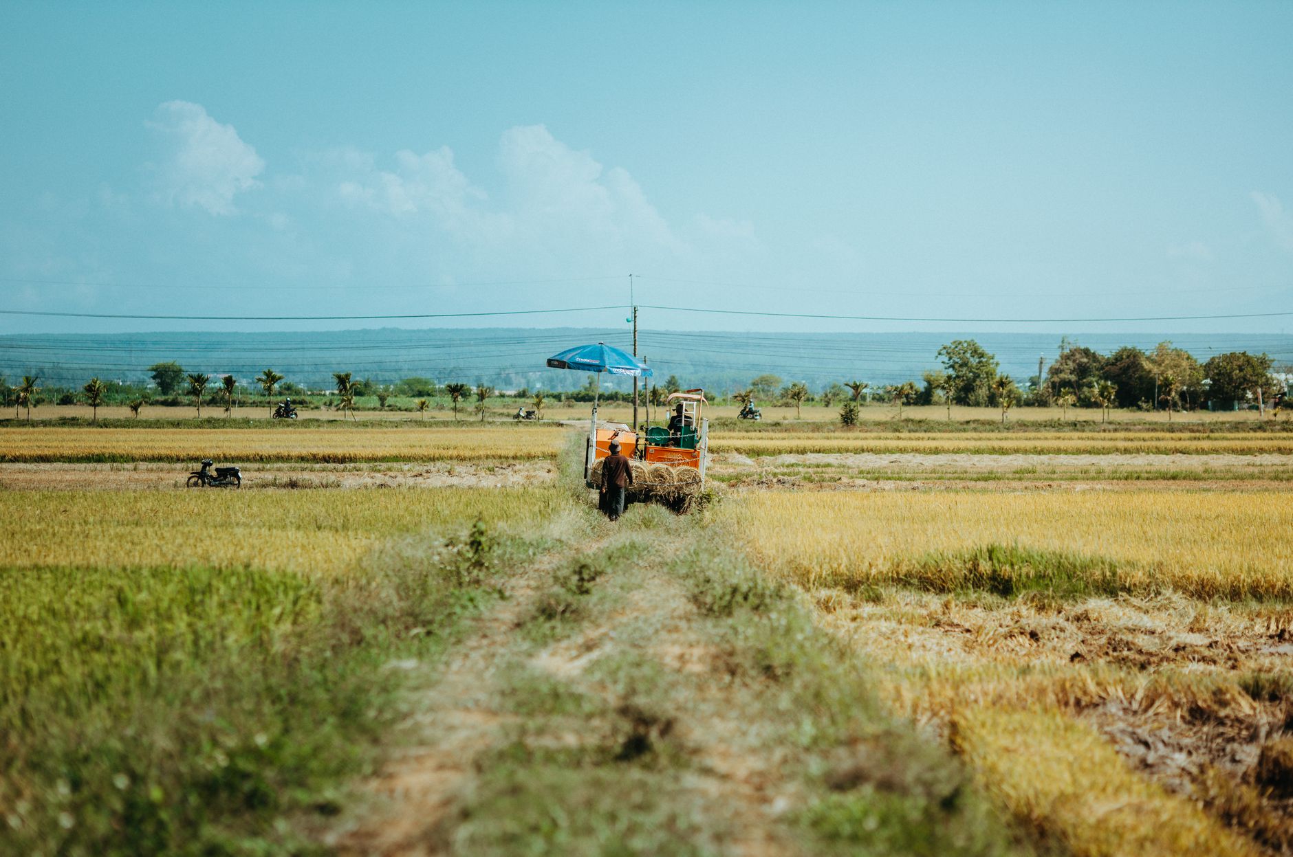 A farmer operates a tractor in rice fields under a blue sky in Vietnam.
