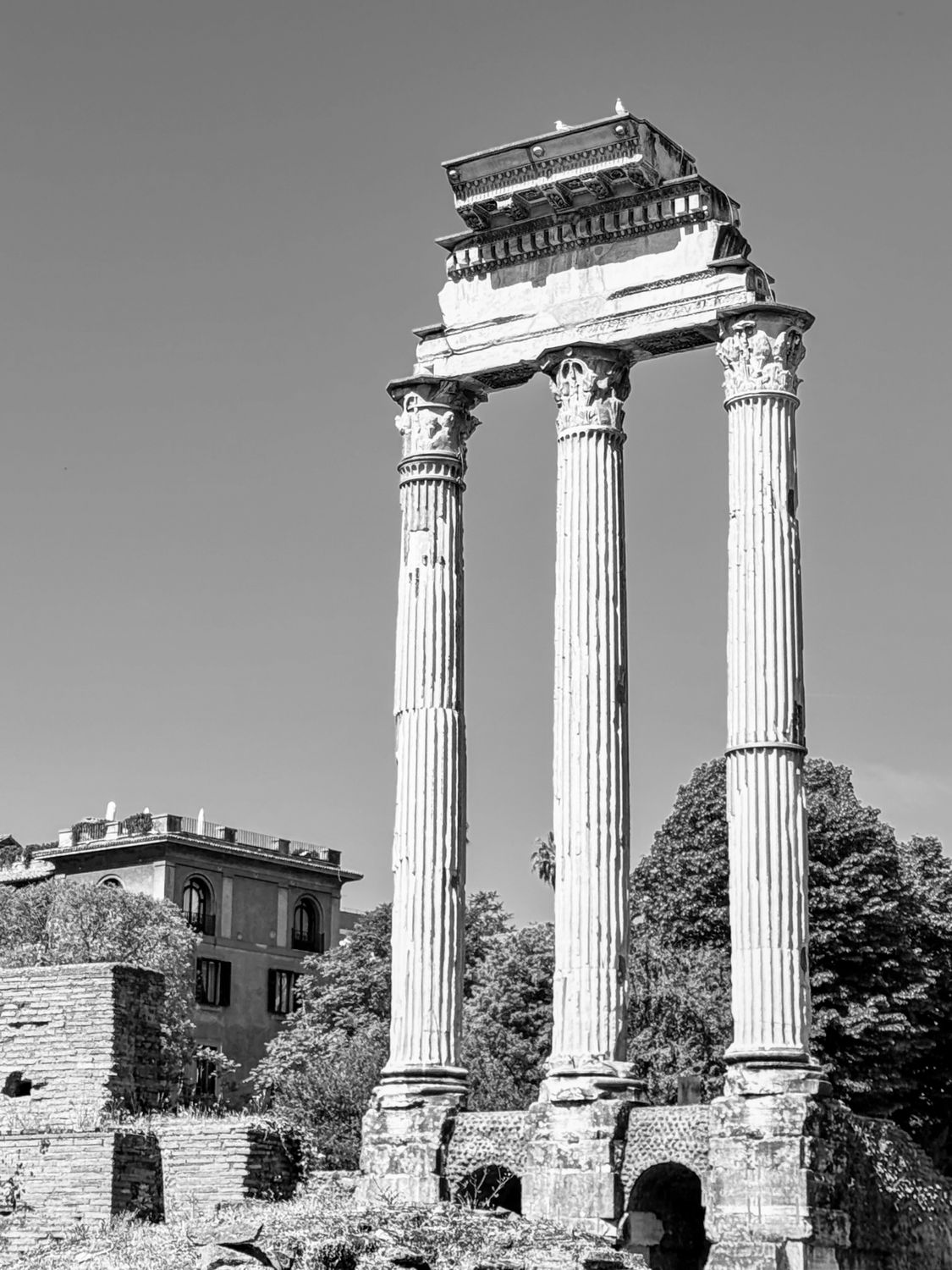Aicent Rome Collums Ancient Roman Forum Columns in Black and White · Free Stock Photo