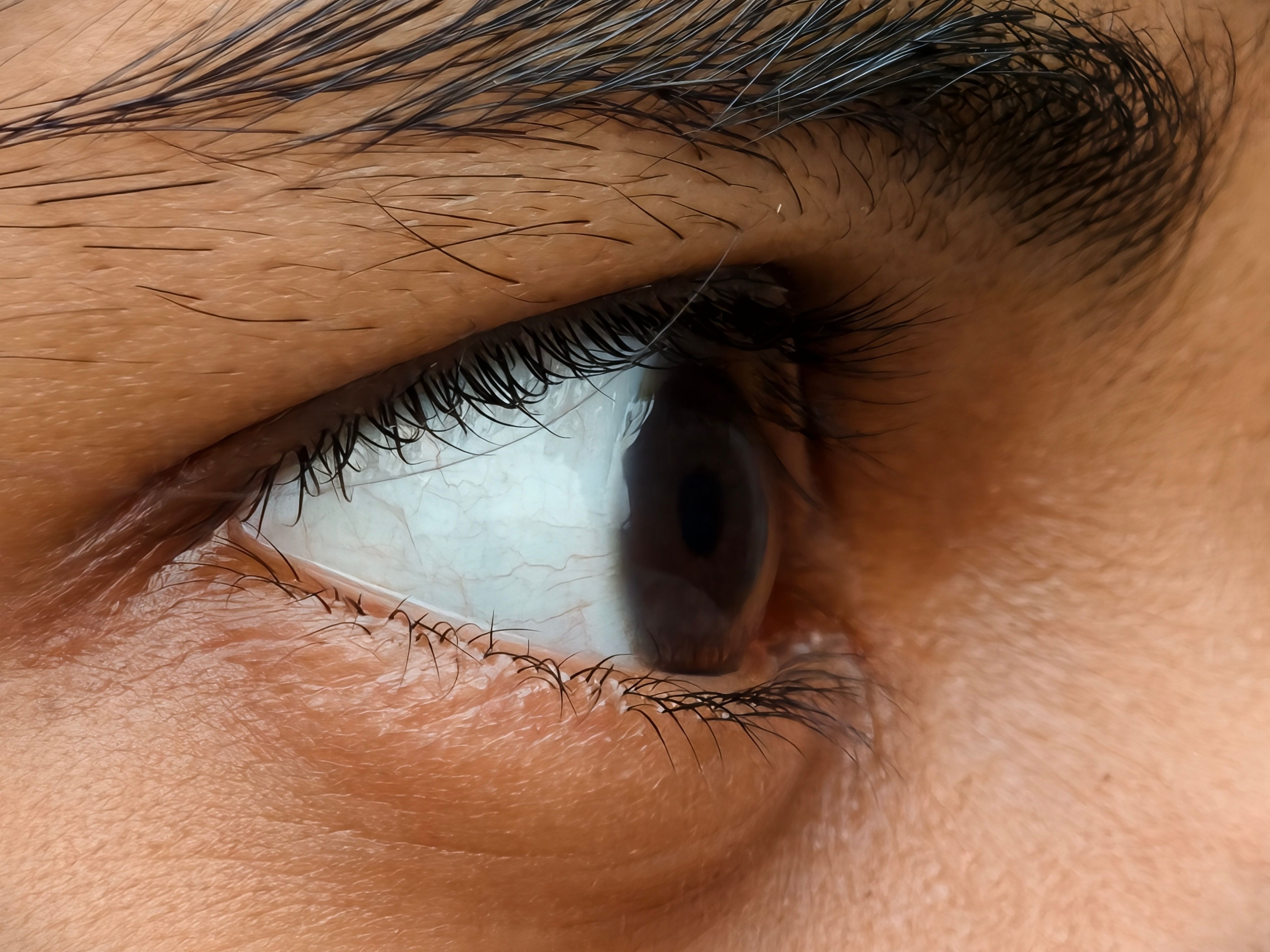 Artwork for Seeing Beyond Vision: Holistic Eye Health & Whole-Body Wellness with Dr. Andy Rosenfarb