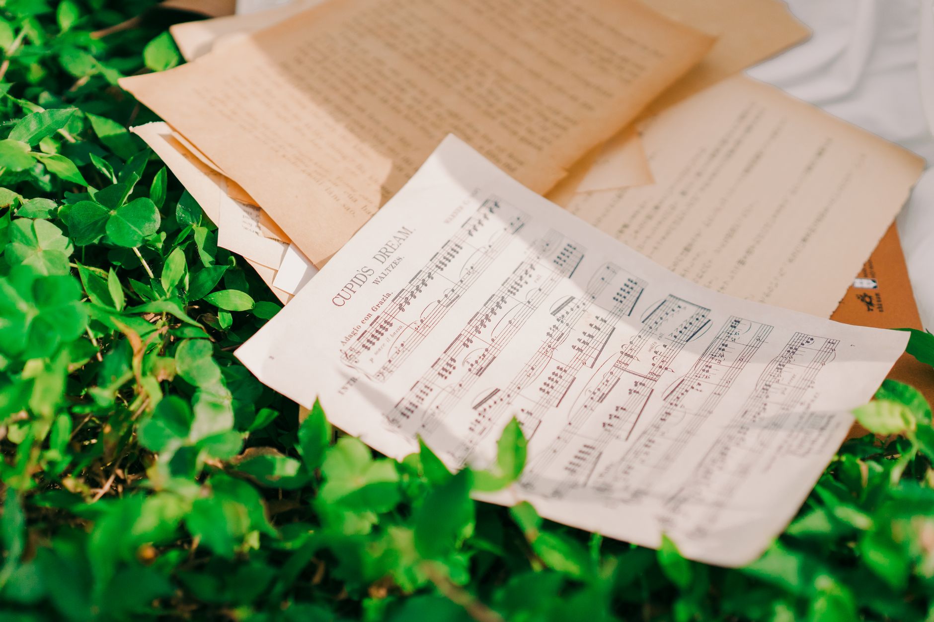Old sheet music surrounded by vibrant green foliage, perfect for creative concepts and nature-themed designs.