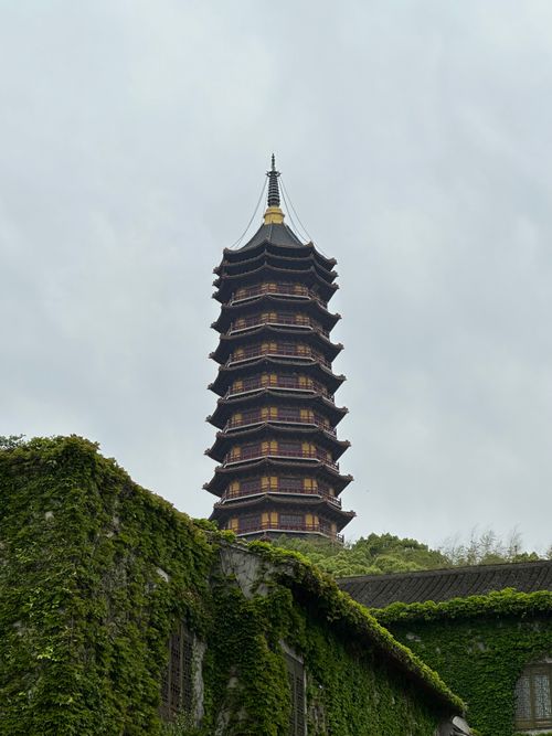 Free A towering ancient pagoda surrounded by verdant greenery under an overcast sky. Stock Photo