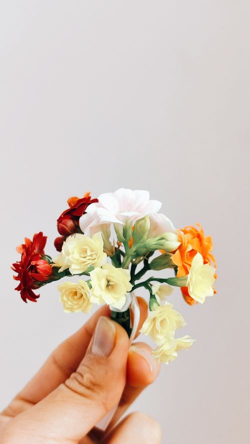 Free Close-up of a hand holding a small bouquet of colorful flowers against a neutral background. Stock Photo
