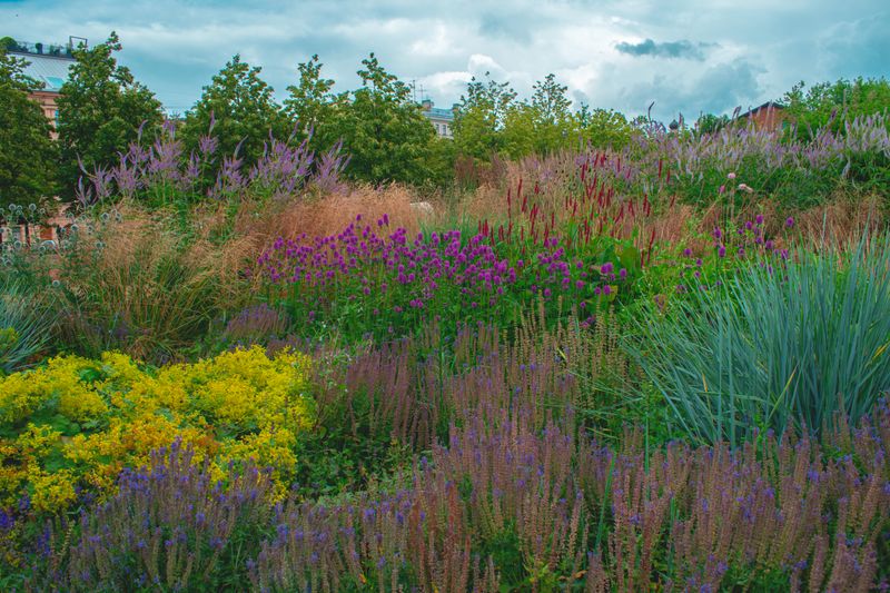 USDA Planting Zones: Complete Growing Zones for the US Colorful urban garden featuring diverse perennials and lush greenery during summer.