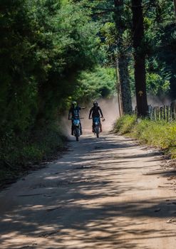 Passeio de bike em Sampa - imagem 3