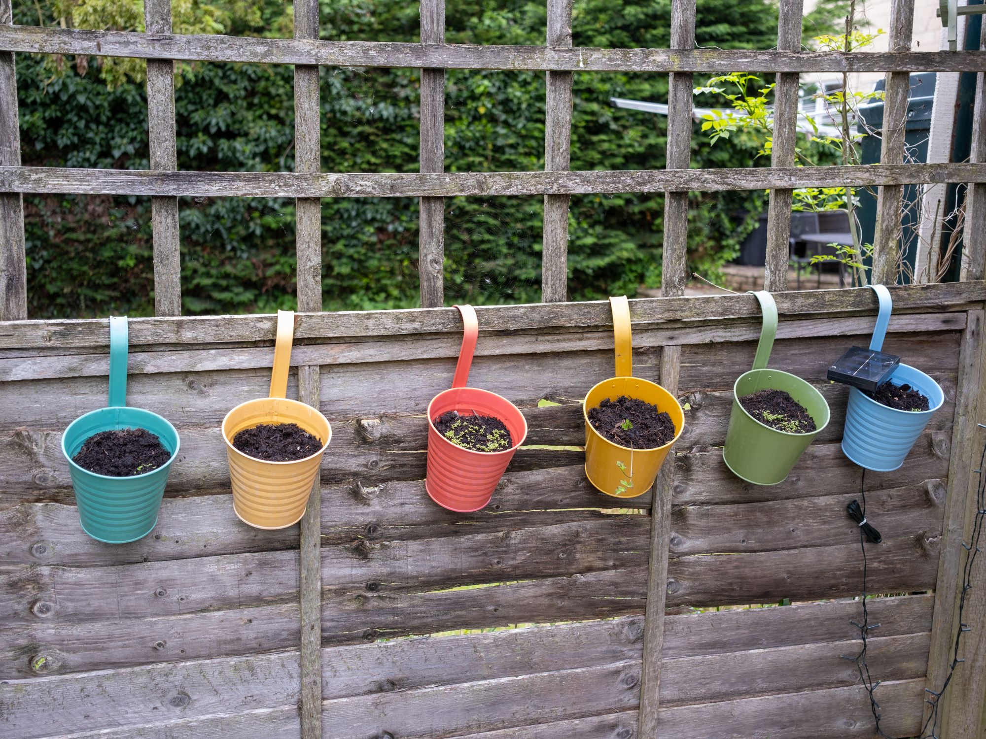 Plastering and Skimming in Earlsfield, Wandsworth — professional painter and decorator at work