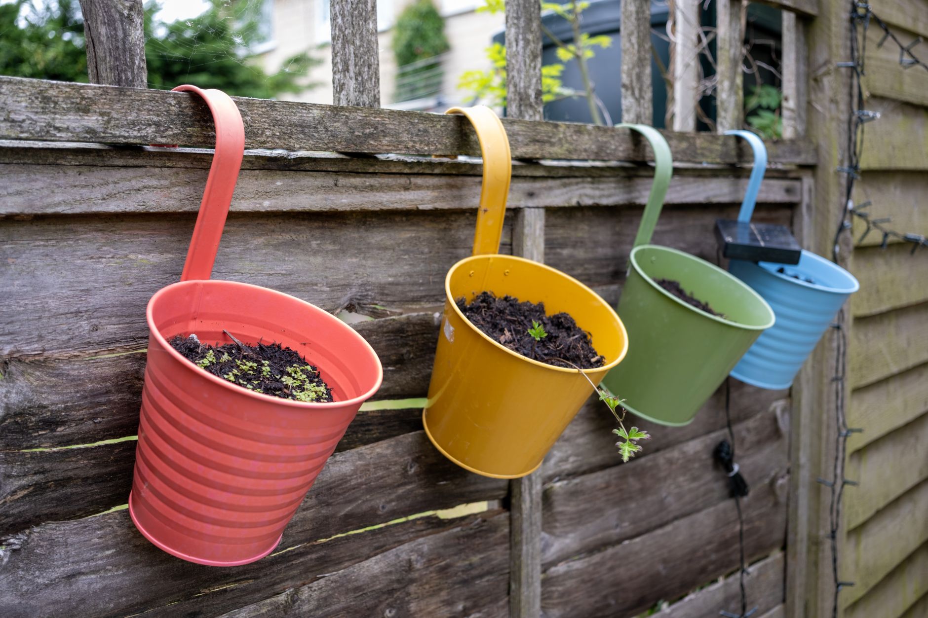 A serene balcony garden with diverse potted plants in sunlight, perfect for urban spaces.