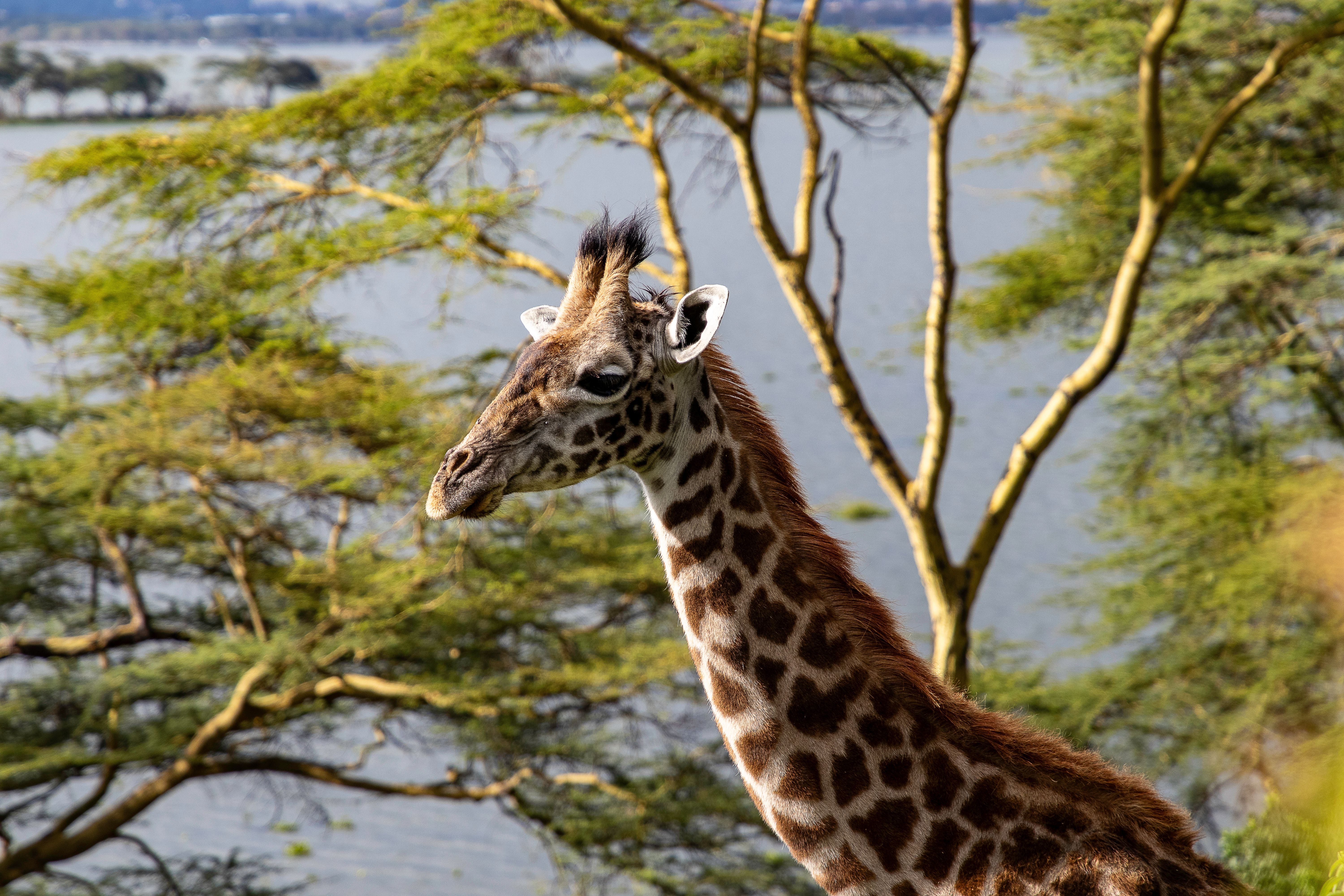 Momella Lakes, Arusha National Park