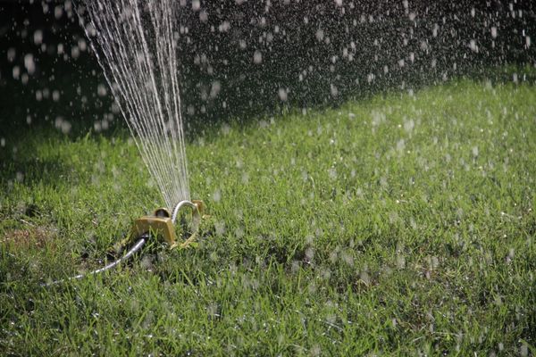 Sprinkler watering lawn