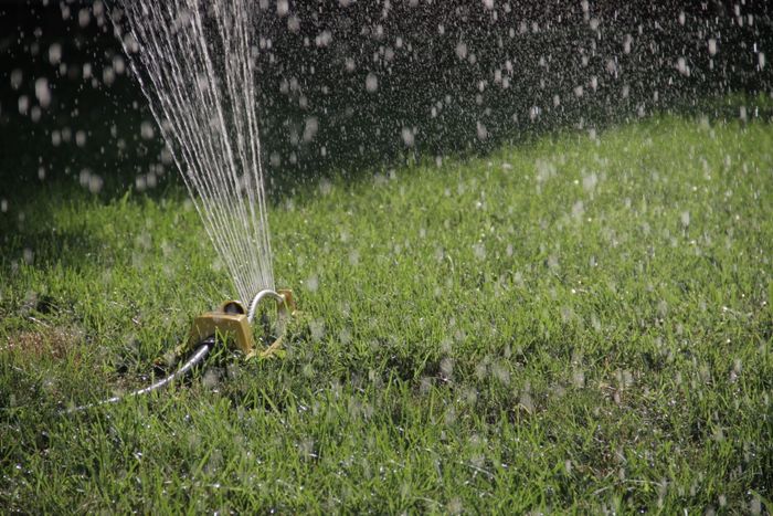 Sprinkler coverage over green grass