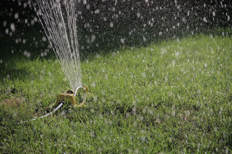 Sprinkler watering a fresh green lawn
