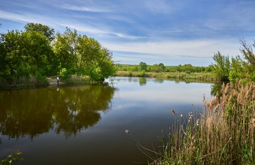 Free A tranquil pond reflects lush green trees under a clear blue sky in spring. Stock Photo