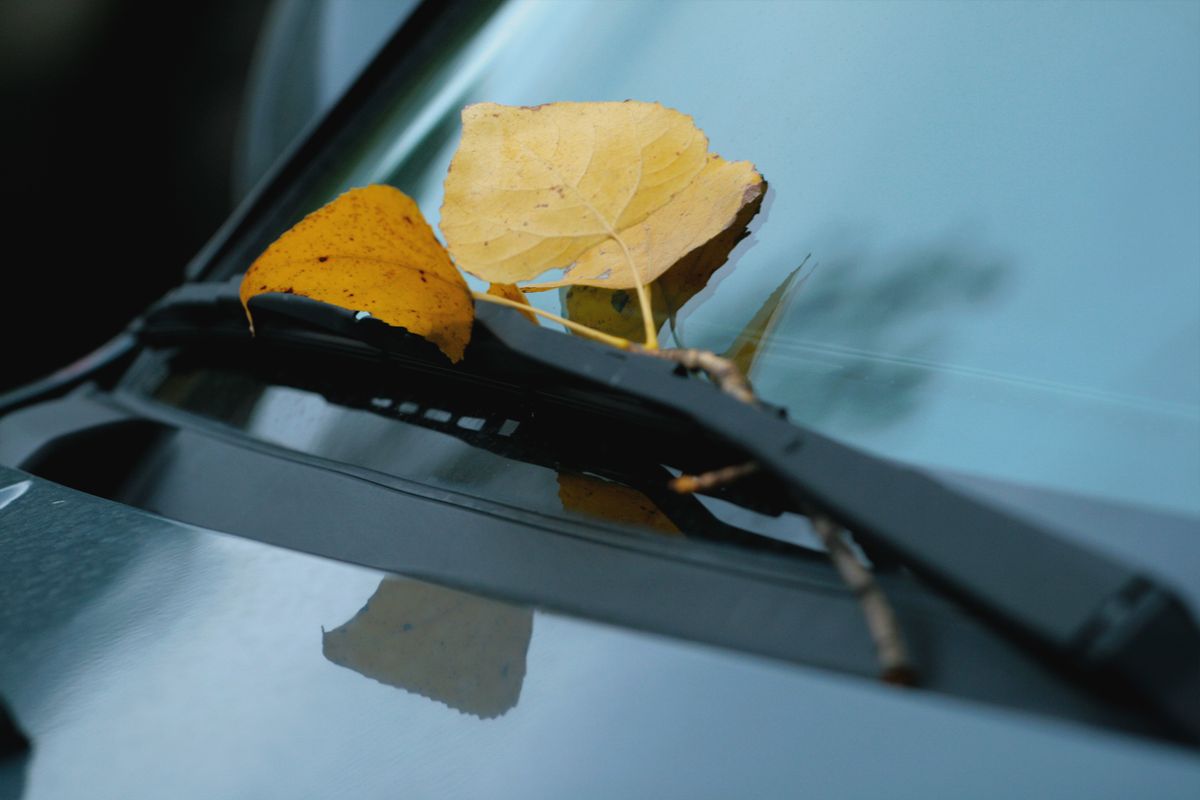 Yellow autumn leaves caught on a car windshield wiper blade, a reminder to replace wipers before winter (Photo via Pexels)