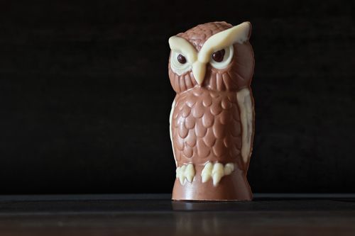 Free Close-up of a meticulously detailed chocolate owl figure with white accents, set against a dark background. Stock Photo