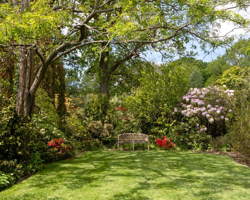 How to remove moss from shady lawns without killing grass — step-by-step reference media