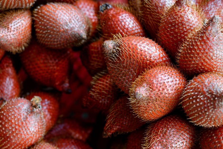 Teknik Budidaya Salak Organik: Menjaga Kualitas Tanpa Bahan Kimia