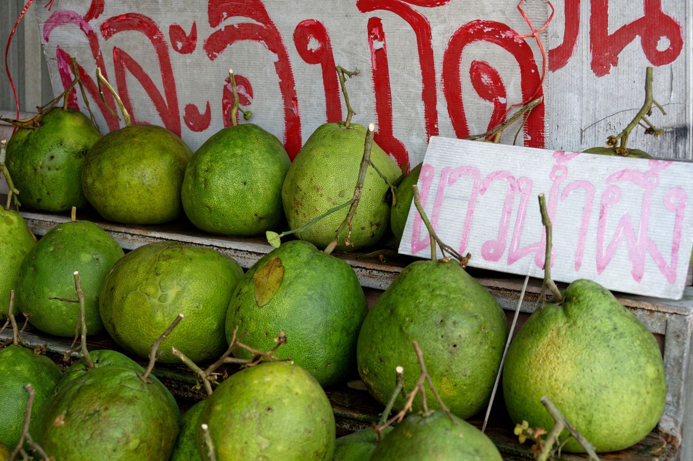 ส้มโอพันธุ์ทองดี จุดเด่นที่ต่างจากขาวใหญ่และขาวน้ำผึ้ง