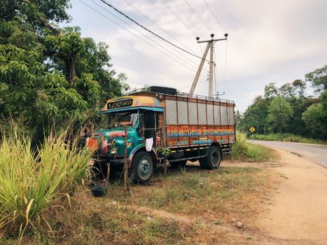 A vibrant, decorated vintage truck parked by a rural roadside in scenic Sri Lanka.