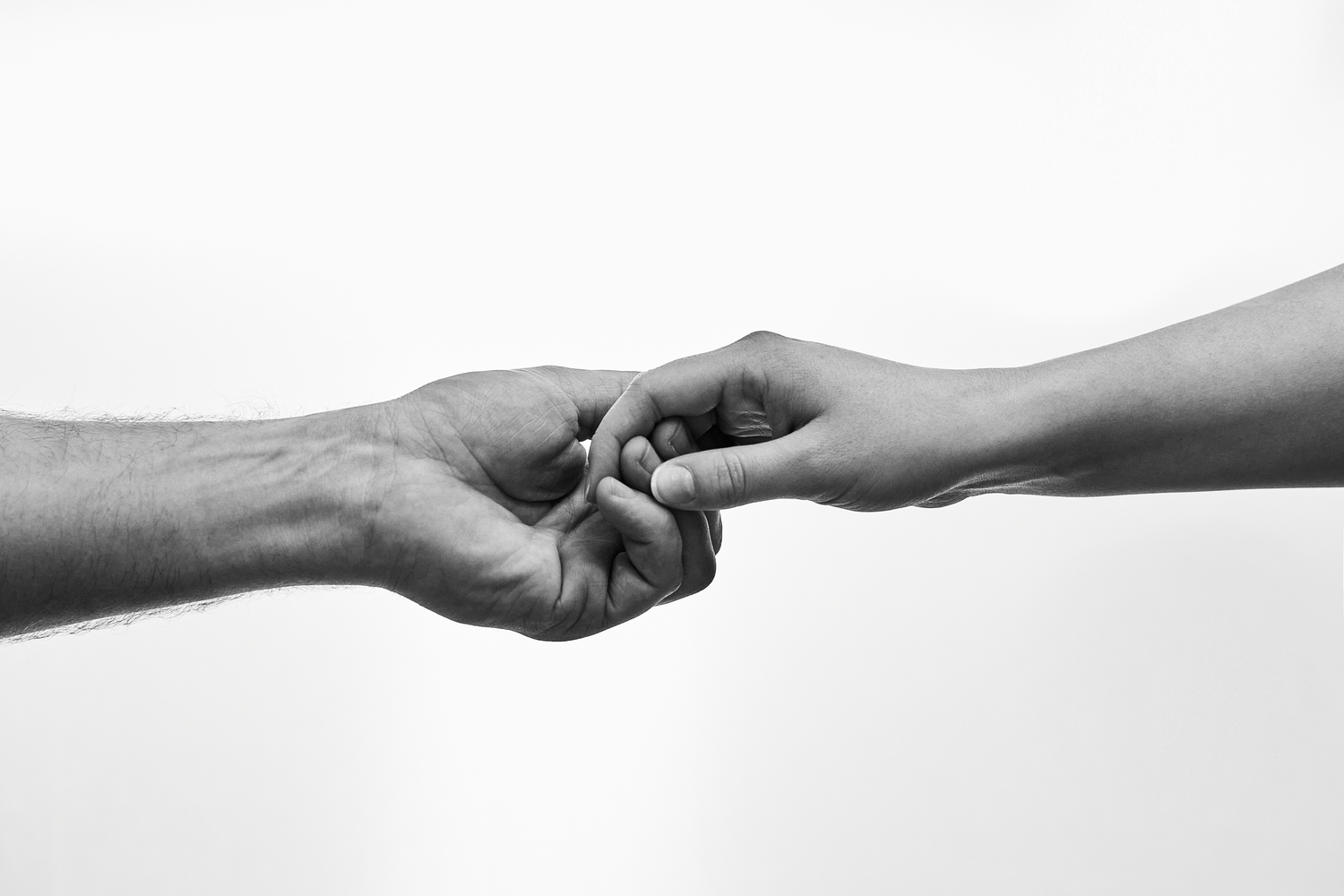 Trust Photos, Download The BEST Free Trust Stock Photos & HD Images