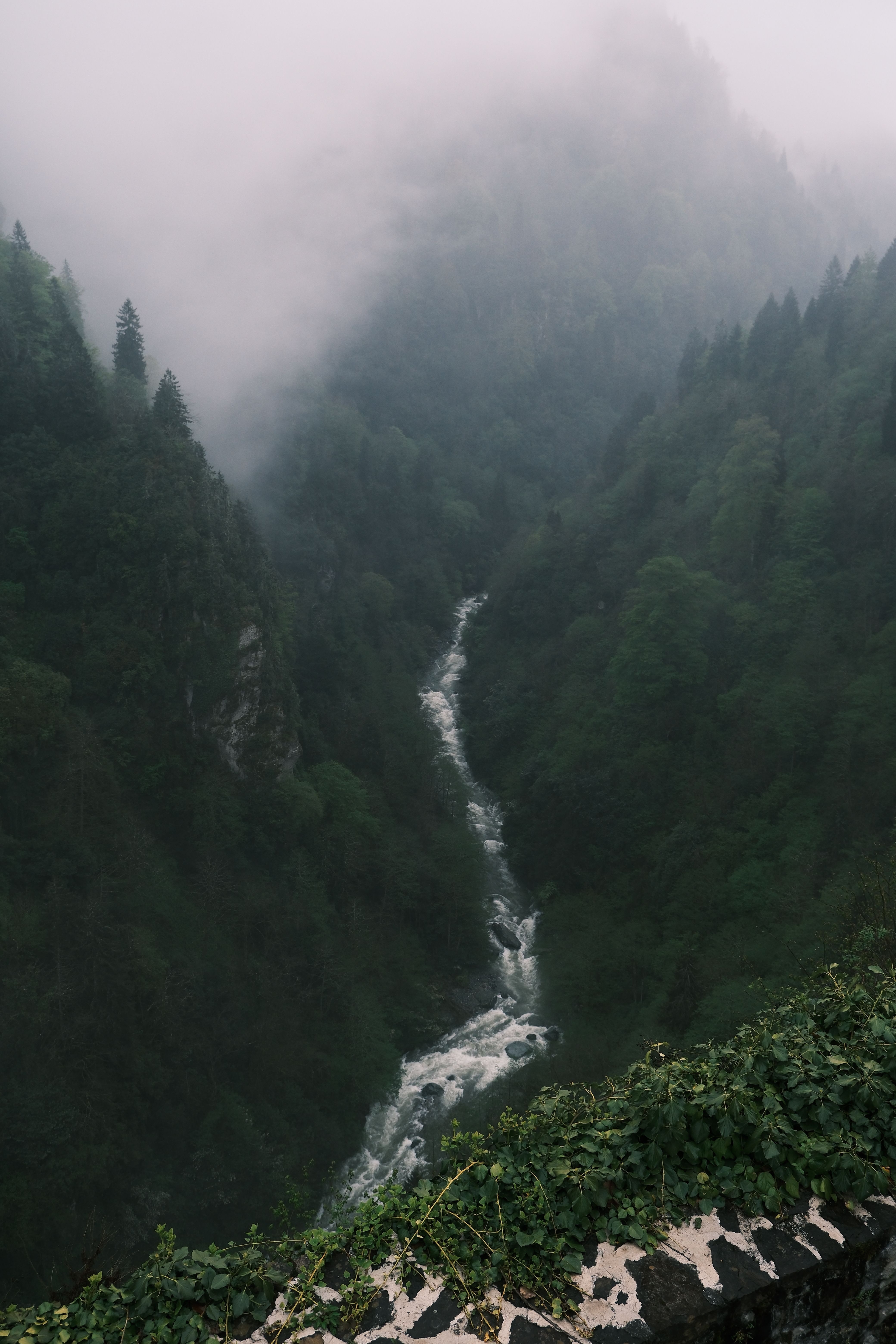 Misty Forest with Flowing River in Mountain Valley · Free Stock Photo
