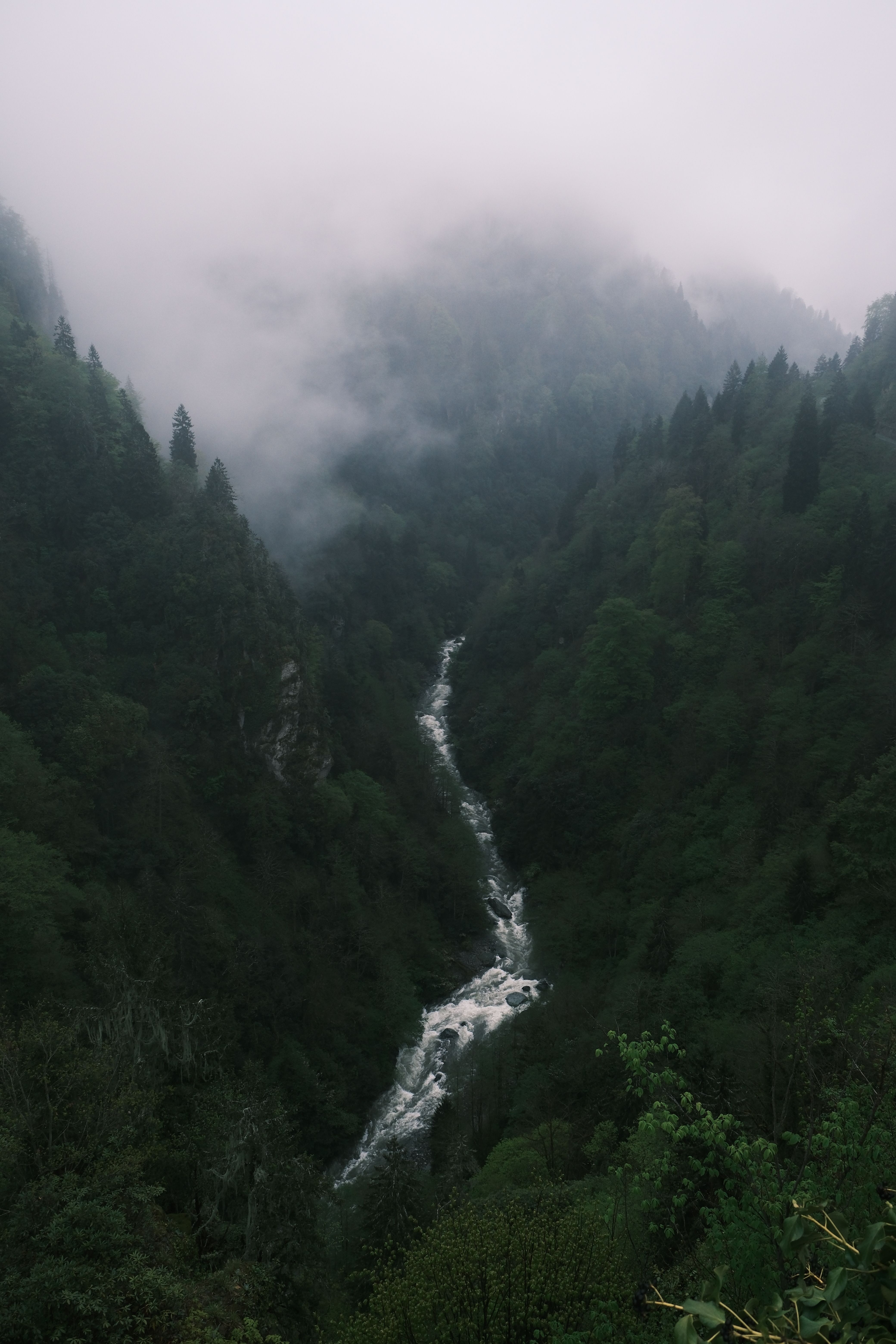 A serene misty river flows through lush, green forested mountains, creating a dramatic natural scene.. pexels, serene, misty