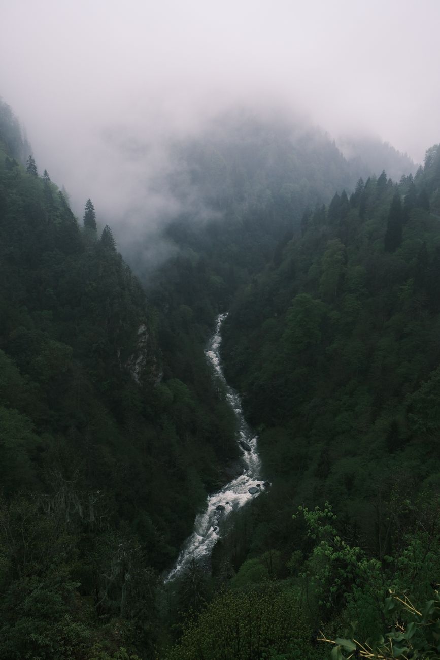 A serene misty river flows through lush, green forested mountains, creating a dramatic natural scene.. pexels, serene, misty