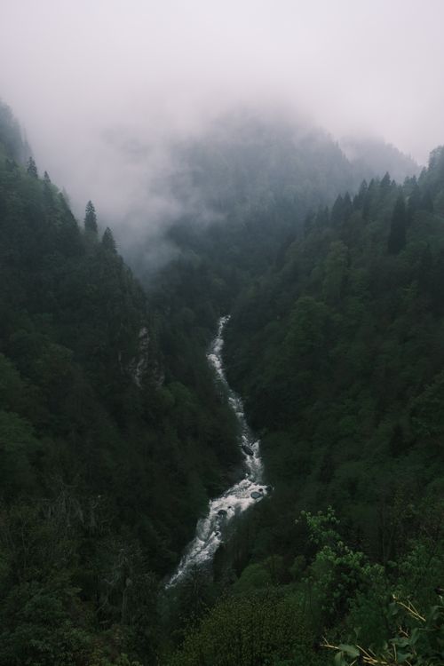 Free A serene misty river flows through lush, green forested mountains, creating a dramatic natural scene. Stock Photo