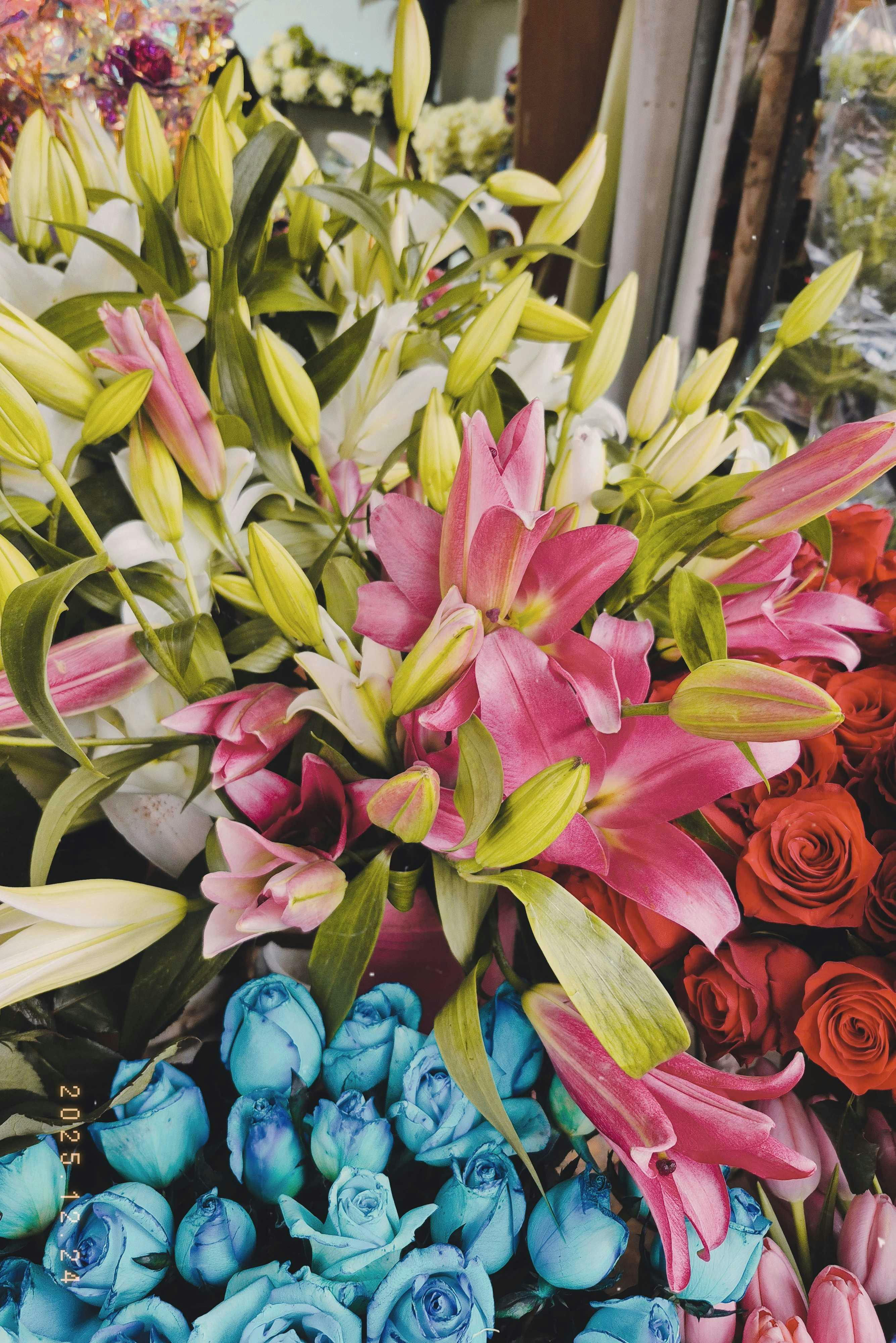 [ColoSach]-colorful-display-of-pink-lilies-and-blue-roses-at-a-flower-shop-in-istanbul.