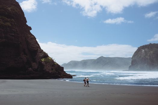 West Coast black-sand beaches — Auckland