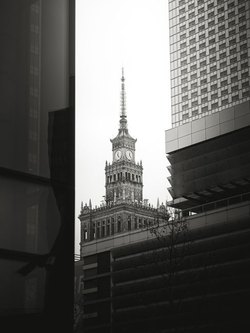 Striking monochrome view of a landmark tower framed by modern architecture.