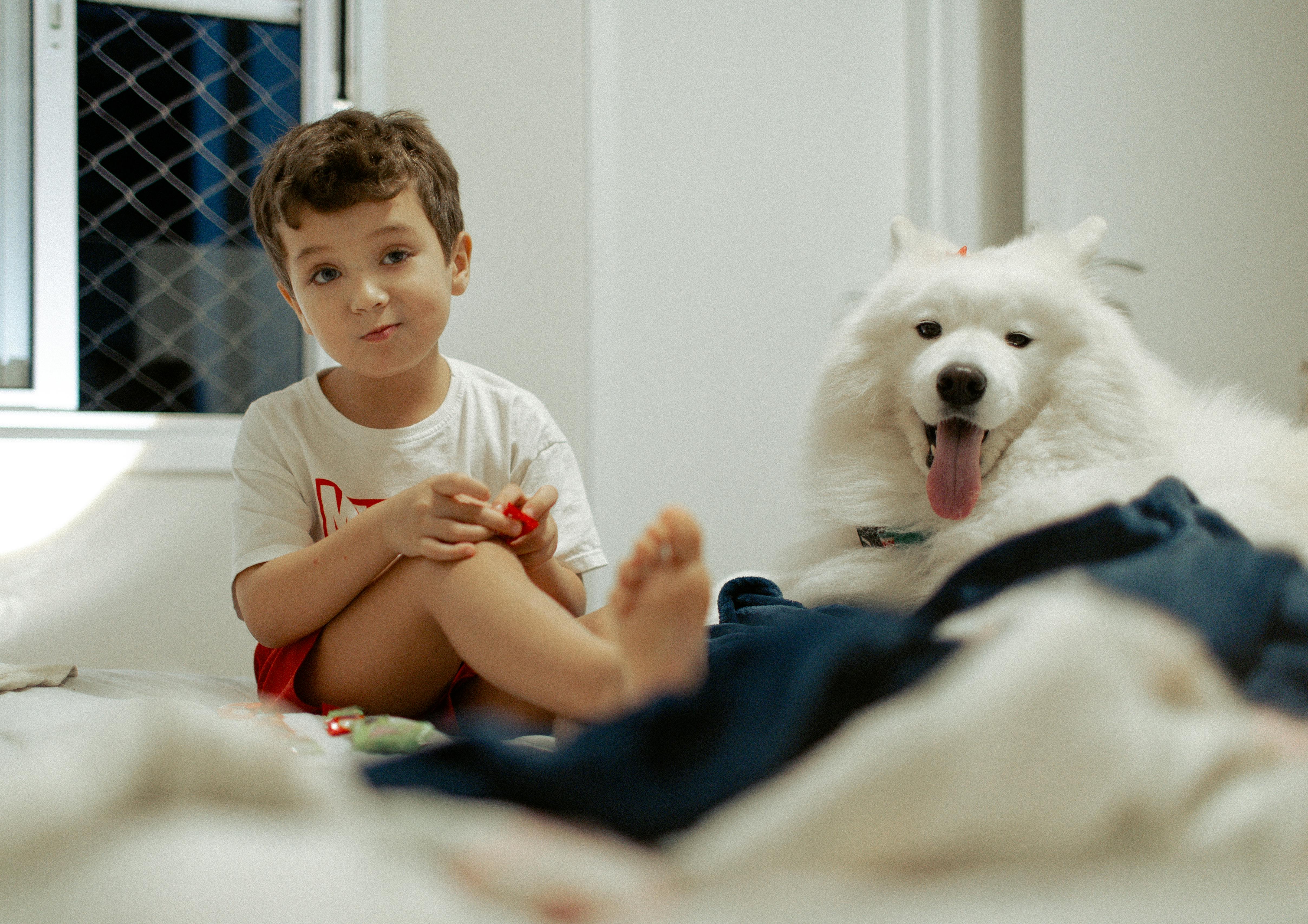 pet care pet health — Photo by Helena Lopes on Pexels
